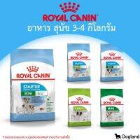 [ส่งฟรี]Royal Canin Dog อาหารสุนัข 3-4 กิโล