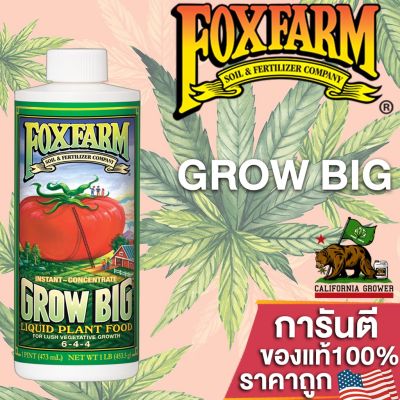 Fox Farm Grow Big (6-4-4) ปุ๋ยบำรุงพื้นฐานการเติบโตของต้นโดยรวม ทั้งโครงสร้างราก ลำต้น ใบและดอก ขนาดแบ่ง 50/100/250ml