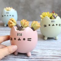 【CC】 Succulent Pot with Hole Flowerpot Little Garden Bonsai Pots Birthday