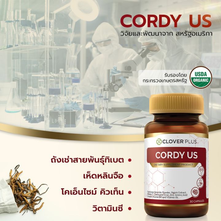 clover-plus-cordy-us-คอร์ดี้-ยูเอส-ถังเช่า-30แคปซูล-แพ็ค-12-กระปุก