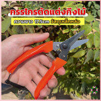 Ayla กรรไกรแต่งกิ่งไม้ เหล็กคาร์บอน สำหรับใช้ในสวน ด้ามกระชับมือ garden shears