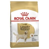 RC Labrador Adult สุนัขโต พันธุ์ลาบราดอร์ 12kg