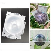 5cm Garden Fruit Tree Plant Rooting Ball Root Growing Boxes Case Grafting Rooter Grow Box Breeding Garden Tools Supplies YB1TH