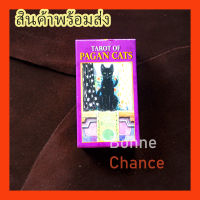 ✨พร้อมส่ง✨ไพ่ทาโร่ Tarot ไพ่ยิปซี 78 ใบ ชุด PAGAN CAT