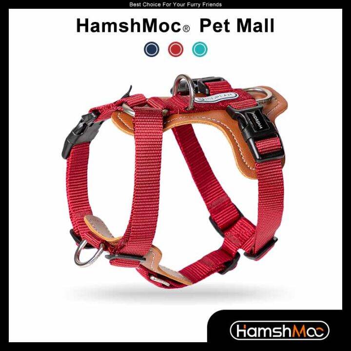 Mac leather best sale dog harness