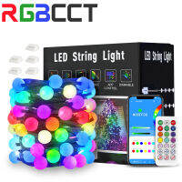 10m DC5V USB LED String Light Dreamcolor BT Music APP WS2812B พวงมาลัยไฟนางฟ้าสําหรับตกแต่งบ้านวันเกิดปาร์ตี้กันน้ํา