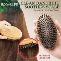 【CC】 Custom Boar Bristle Hair Vent Round Concubine Comb Scalp Hairbrush Wood for Wet Dry