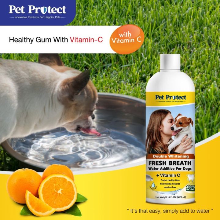 pet-protect-original-formula-สีเหลือง-น้ำยาดับกลิ่นปากสำหรับ-สุนัข-ใช้ผสมน้ำดื่ม-ลดคราบหินปูน-ลดกลิ่นปาก