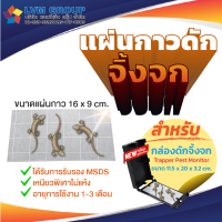 แผ่นกาวดักจิ้งจก สำหรับกล่อง Trapper Pest Monitor รูปแบบใหม่ มีกุญแจล็อค กำจัดจิ้งจก จิ้งจก