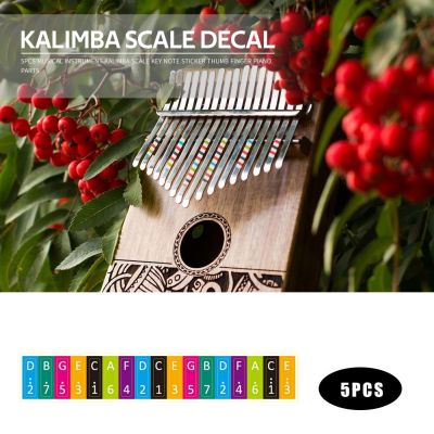 5ชิ้นสติ๊กเกอร์สเกล Kalimba คีย์โน้ตเปียโนนิ้วโป้งสติกเกอร์ Alat Peraga Mengajar เครื่องเล่นดนตรีกีต้าร์สำหรับมือใหม่เปียโนนิ้วหัวแม่มือ