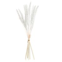 Dried Grass Decor Plant Home Wedding Decor Dried Bouquet Flowers Bunch Feather Flowers Natural Phragmites Tall Plastic Vase #T1G