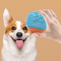 【YF】┇▣✁  Rubber Balls for Dogs Dog Training Chew Resistant Sets Small Belgian Malinois Gifts