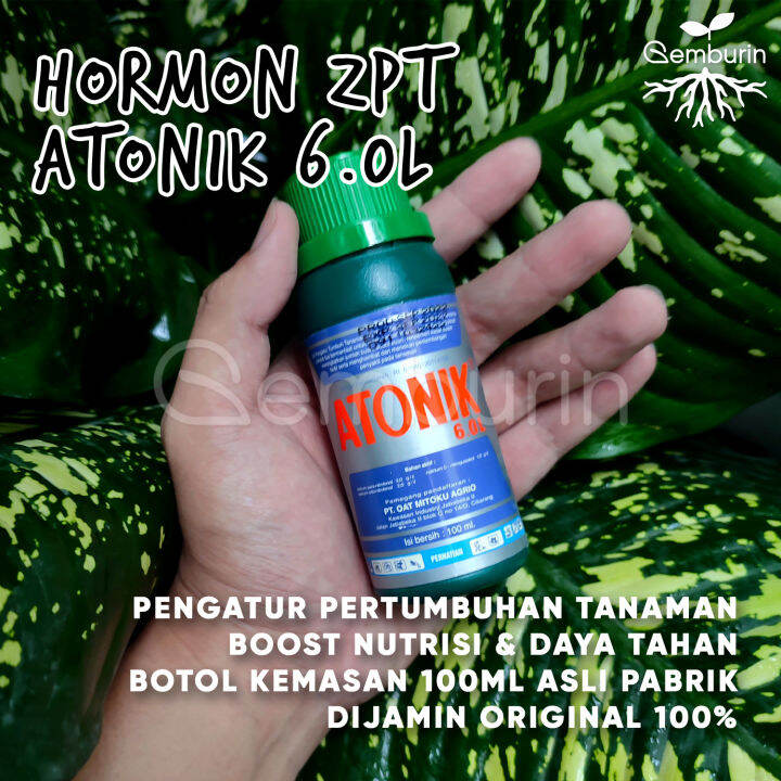 Atonik 6.0L Kemasan 100 Ml Asli Pabrik / ZPT Hormon Pengatur Tumbuh ...