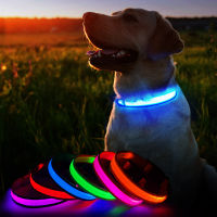 MASBRILL LED Dog Collar Luminous Supplies Dog Collar Waterpoof Safety Glow Necklace Flashing Lighting Up Collars Accessories