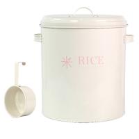 Sealed Rice Bucket Flour Storage Box Iron Sheet Washing Powder Bucket Grain Dispenser Dog Cat Food Storage Container