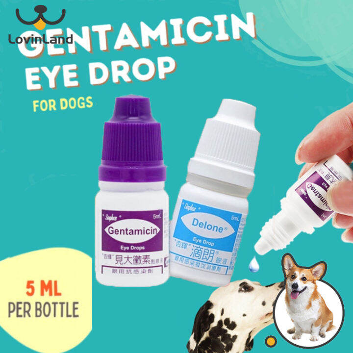 lovinland-sinphar-pet-eye-drops-pet-dog-general-eye-inflammation