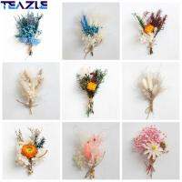 TEAZLE ช่อดอกไม้แห้งตามธรรมชาติของอุปกรณ์ตกแต่งประกอบการถ่ายภาพในงานแต่งงานเครื่องประดับตกแต่งบ้าน2ชิ้นลำต้นของต้นไม้ขนาดเล็ก