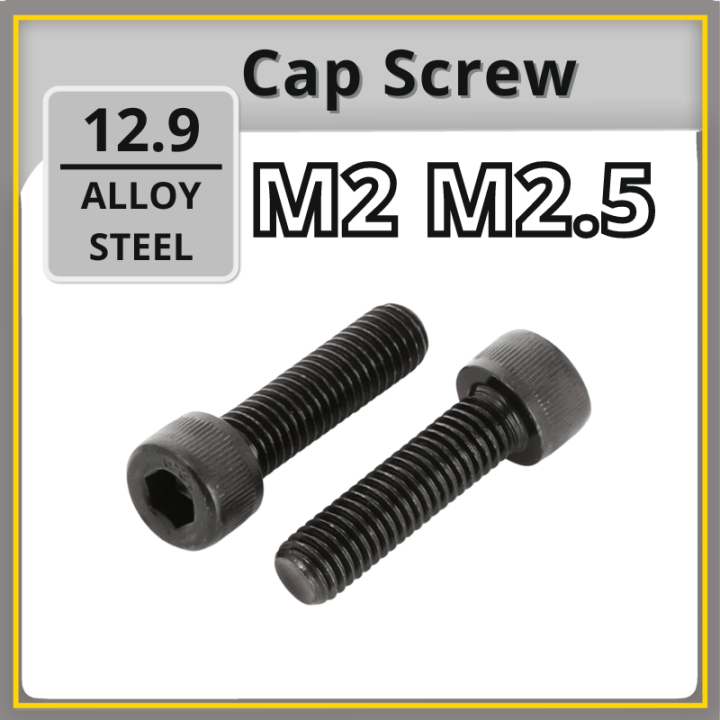 M2 5 store screw