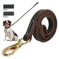 2021Heavy Duty Handmade Leather Dog Leash Lead Dark Brown Black With Gold Hook Best for Walking Training All Dog Breeds 4 Sizes