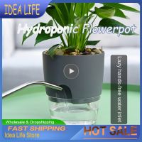 【YF】▫  Hydroponic Flowerpot Watering Pot Absorption Office