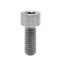 (สไตล์) M3 M4 M10 M8 M6ขนาด M12 X 6-100มม. TC4 GR5ไทเทเนียมฝาปิดอัลลอยถ้วยหัว Hex Allen Bolt สกรูสกรูตะปูและรัดรถจักรยานยนต์