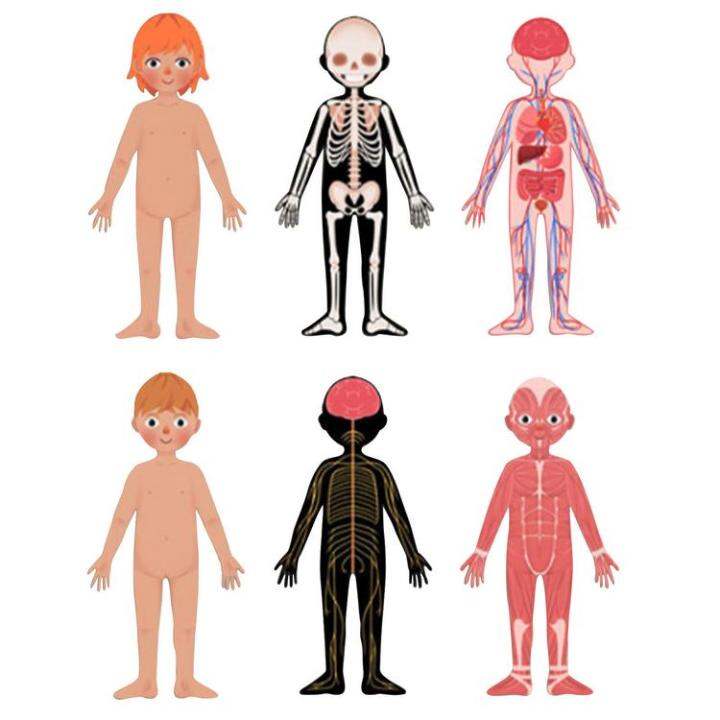 Anatomy Play Set Human Body Anatomy Floor Jigsaw Toys