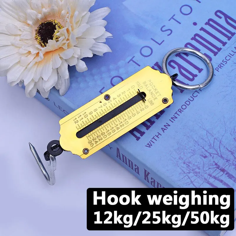 1 Pc Luggage Scale Electronic Scale Hand Scale Hook Scale Package Scale  50kg Mini Scale Portable Spring Scale Fishing Scale - Sports & Outdoors -  Temu