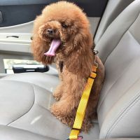 【FCL】☊☼◈ Adjustable Dog Car Harness Leash Clip Safety Lever Dogs Collars Accessoires