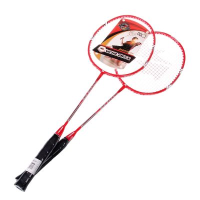 1 Set Professional Badminton Kit 2Pcs Rackets with Carrying Bag Indoor Outdoor Casual Play Game Sports Accessory Aluminium Alloy