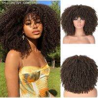 Sissis Afro Kinky Curly Wigs With Bangs African Natural Synthetic Ombre Glueless Blonde Red Grey Cosplay Wigs [ Hot sell ] TOY CENTER