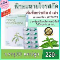 ส่งฟรี ฟ้าทะลายโจร กิฟฟารีน ฟ้าทะลายโจรสกัด ชนิดแคปซูล เข้นข้นกว่าเดิม 6 เท่า  มีแอนโดรกราโฟไลด์ไม่ต่ำกว่า 24 มก. ของแท้กิฟฟารีน 100%