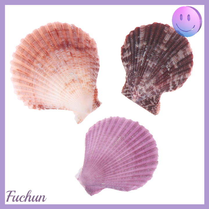 fuchun-เครื่องประดับตกแต่งเปลือกหอยธรรมชาติสีสันสดใสจำนวน20ชิ้น-ของประดับตกแต่งงานฝีมือต่างหูรูปหอยเชลล์