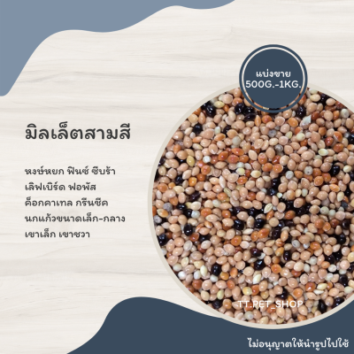 มิลเล็ตสามสี  (แบ่งขาย 200-500G.) อาหาร หงษ์หยก ฟอพัส เลิฟเบิร์ด ค็อกคาเทล เขาเล็ก เขาชวา