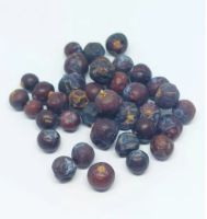 จูนิเปอร์เบอร์รี่อบแห้ง Dried Juniper Berries