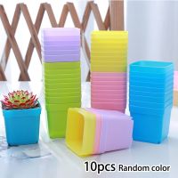 【YF】✧┇℗  10pcs Pot 5.5cm Colorful Plastic Basin Succulent Planters Trays Transplant Pots