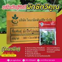 เมล็ดพันธุ์ผักชี ผักชีทวีคูณ (ยกลัง 50 ห่อ) ขนาด 300 กรัม