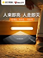 Bull Intelligent Human Body Sensor Light Night Light Rechargeable Bedroom Sleep Home Corridor Aisle Stairway 301 【JYUE】