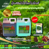 ปุ๋ยผักไฮโดรโปนิกส์ ปุ๋ยAB ไฮโขนาด1ลิตร และขนาด250ml ปุ๋ยน้ำปุ๋ยAB เป็นสารละลายธาตุอาหารพืช ทำให้พืชเจริญเติบโต (ฟรีเมล็ดพันธุ์ ผักชี1ซอง)