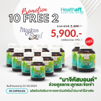 โปร 10 FREE 2 (12 ขวด) Magicus Bond มาจิคัสบอนด์ "เซซามิน" ในน้ำมันงาดำ สกัดเย็น เพื่อกระดูกบาง พรุน กระดูกเสื่อม ปัญหาเรื่องผม EXP : 21/10/24