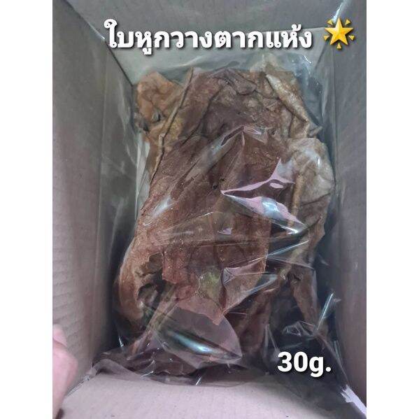 ใบหูกวางแห้ง-30-g-ใช้หมักปลากัด-ป้องกันการติดเชื้อ