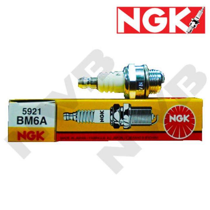 NGK BM6A Spark Plug Lazada PH