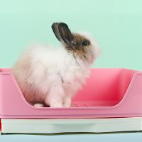 50LB Large Rabbit Litter Box with Drawer Place Firmly Pet Bedpan Corner Toilet Box