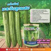 โปรดี!! เมล็ดพันธุ์มะระจีนวสันต์ ทีเอ255 (เพื่อนเกษตร) ขนาด 100 กรัม Yummy!