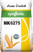 ข้าวโพดเลี้ยงสัตว์ เอ็นเค 6275 ขนาดบรรจุ 10 กิโลกรัม ผลผลิตสูง ฝักใหญ่ แกนเล็ก ฝักมีความสม่ำเสมอมาก ปลูกได้ทั้งข้าวโพดหน้าฝน