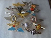 tomwang2012.MILITARY UNIFORM ARMY MORE THAN ONE NATIONAL PARACHUTE REGIMENT PARACHUTIST PIN METAL BADGE INSIGNIA