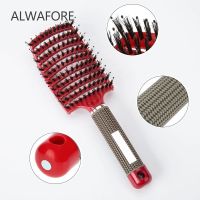 【CW】 Hair Comb Detangling Detangle Lice Massage Tangle Hairdressing