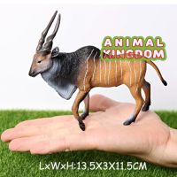 Animal Kingdom - โมเดล Bongo ละมั่ง แอฟริกา บองโก พ่อ ขนาด 13.50 CM (จากสงขลา)