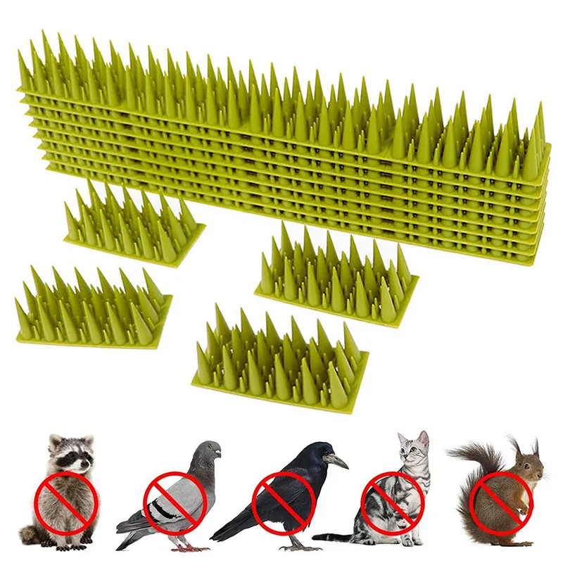 tianjunmaoyi Plastic Bird Thorn Size Thorn Anti-Cat Thorn Bird Repellent  Anti-Bird Thorn | Lazada Singapore