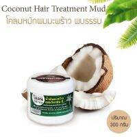 โคลนหมักผมน้ำมะพร้าวผสมวิตามินอีสูตร Hair Treatmentเหมาะกับผมแห้งแตกปลายขนาด 300กรัม