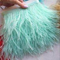 1M Natural White Fluffy Ostrich Feather Trims for DIY Craft Wedding Decoration Colored Plume Ribbon Sewing dress Clothing 8-10cm Shoes Accessories